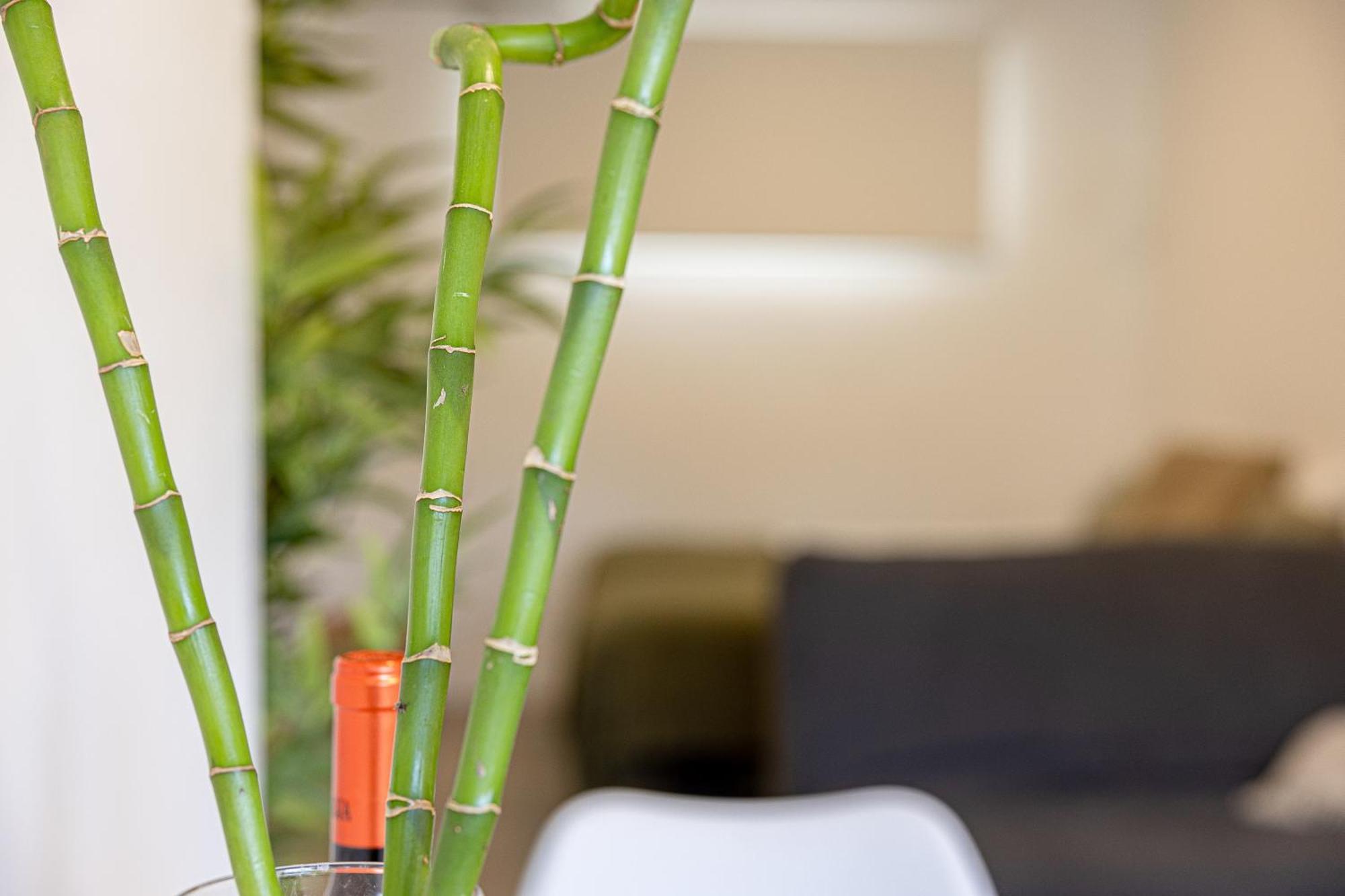 Bambu Suites Vegueta Alquiler Por Habitacion Лас Палмас де Гран Канария Екстериор снимка